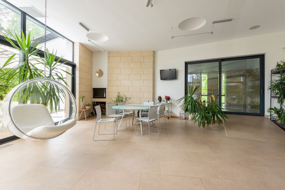 A bright living room filled with healthy houseplants